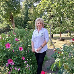 ����, ���������, 69 ���