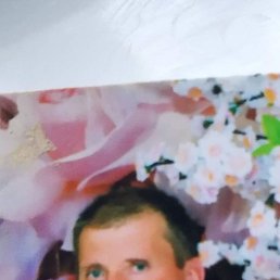 ���� ������, ���������, 40 ��� - ��������� 29 ��� 2023