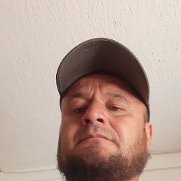 �������, ������, 43 ����