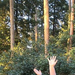 �����, ��������, 61 ���