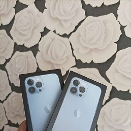 �����������, ������, 37 ���