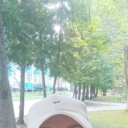 �����, ������, 43 ����