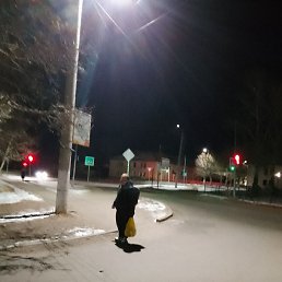 ��������, �����������, 41 ���