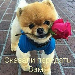 ���� ������, ������, 55 ��� - ��������� 21 ���� 2023