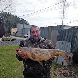 , 52 , 