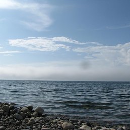 �����, ������-���������, 62 ����