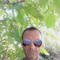 , 46 , --