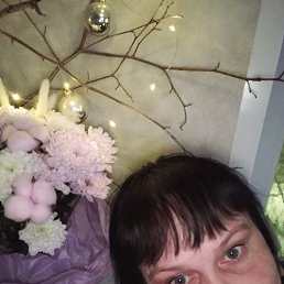 ���� �����, ������ ��������, 56 ��� - ��������� 25 ������� 2026