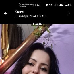 �����, 41 ���, ���������