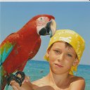 ���� Sayffer, ������ - ��������� 7 �������� 2025 � ������ ���� ����������