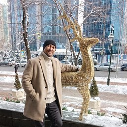 V, ������