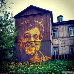 �����������