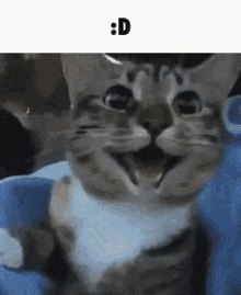 ���� �����, �����, 51 ��� - ��������� 27 ������� 2023