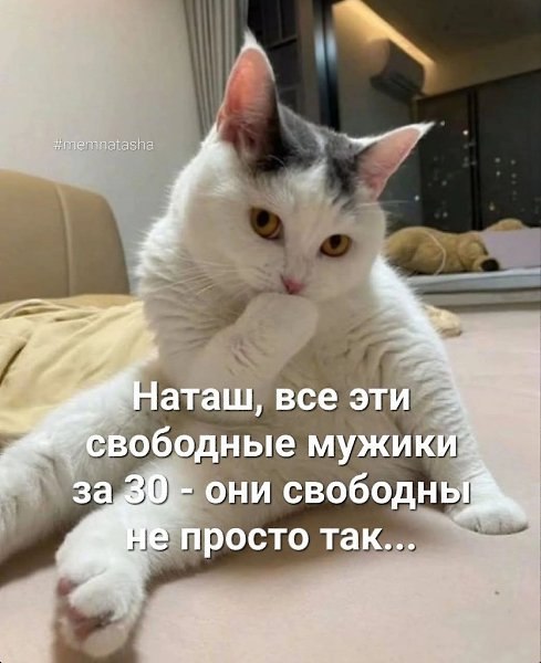 ОБО ВСЕМ - 23 октября 2025 в 20:41