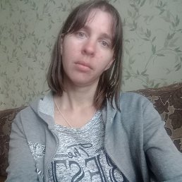 , 29, 