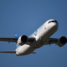 ������, �����-���������, 24 ����