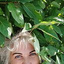 ���� ��������, �������, 62 ���� - ��������� 31 ������� 2025 � ������ ���� ����������