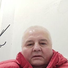 , 56, 