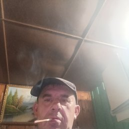 ������, 52 ����, �����������