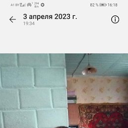 , 42, 
