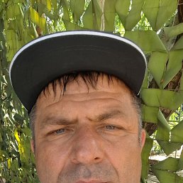 , 45, 