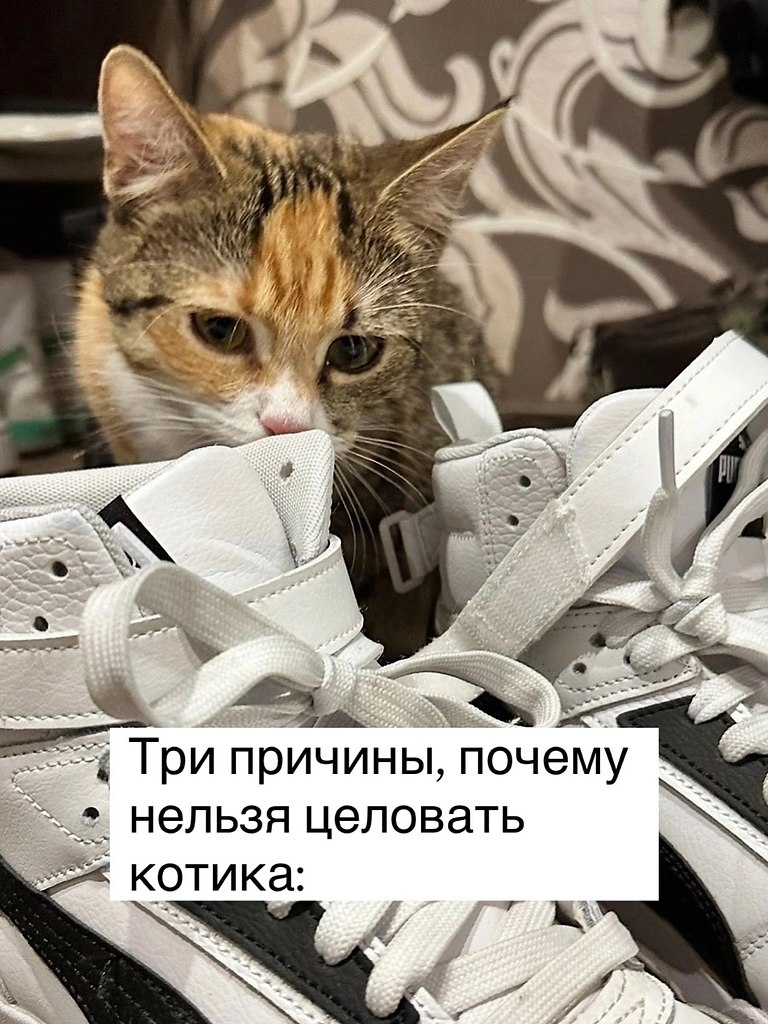 =