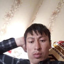 , 33, 