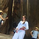 ���� ���, ������ - ��������� 29 ������� 2025 � ������ ���� ����������