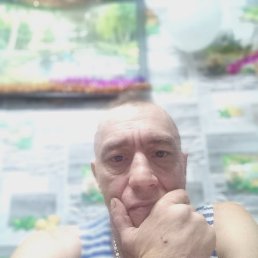 �����, ������, 46 ���