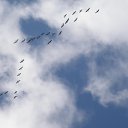 ���� ������, ����-��� - ��������� 24 ������ 2025 � ������ ������������ ����� 1�
