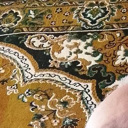 �����, �����-���������, 59 ���