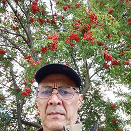 , 49, 