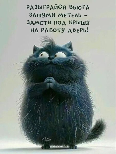  - 9  2025  06:31