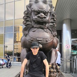 ���� ����, ������������, 33 ���� - ��������� 7 ������� 2025