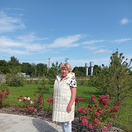 , 66, -