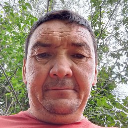 , , 44 