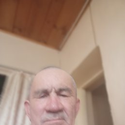 , 59, 