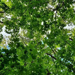 ���������, ������������, 23 ����