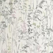 �����, 48 ���, ������