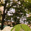 ���� �������, ������� - ��������� 18 ���� 2025 � ������ ���� ����������