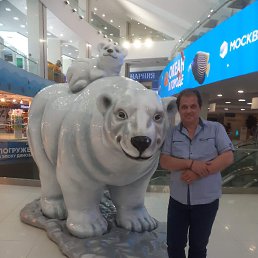 , 53 , 
