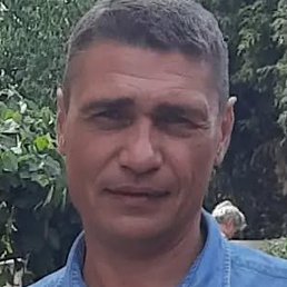 �������, ���������, 44 ����