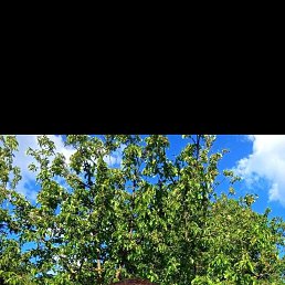 ������� ������, 45 ���, ������