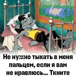 ���� �����, ��������, 26 ��� - ��������� 8 ������� 2026