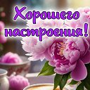 ���� ����, ����� - ��������� 16 ��� 2026 � ������ ������ ��������