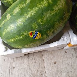 ����� �����, �����, 50 ���