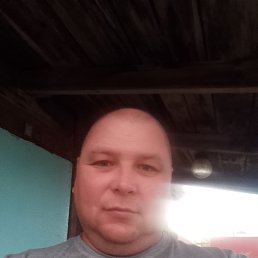 , 37, 