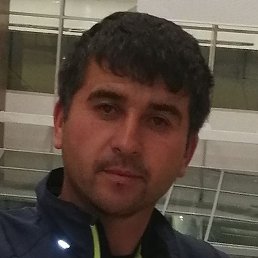 �����, �����������, 38 ���