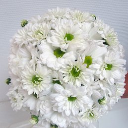 ���, ����������, 48 ���