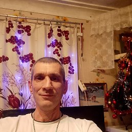 ������, 41 ���, ������